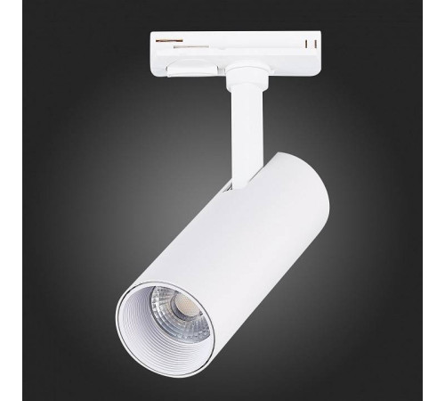 Светильник на штанге ST-Luce Mono ST350.536.10.36