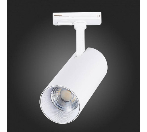 Светильник на штанге ST-Luce Mono ST350.536.20.36