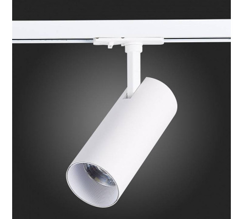 Светильник на штанге ST-Luce Mono ST350.536.20.36