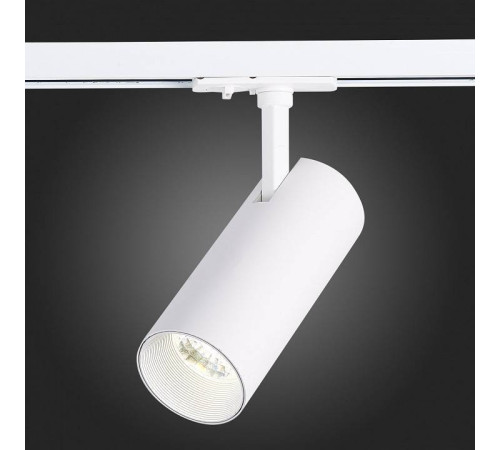 Светильник на штанге ST-Luce Mono ST350.536.20.36