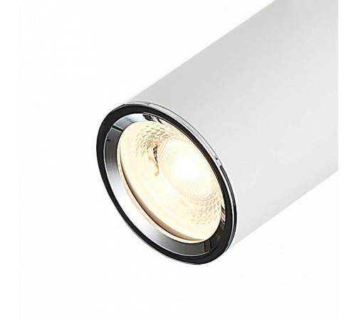 Светильник на штанге ST-Luce SKYLINE 220 ST504.506.01