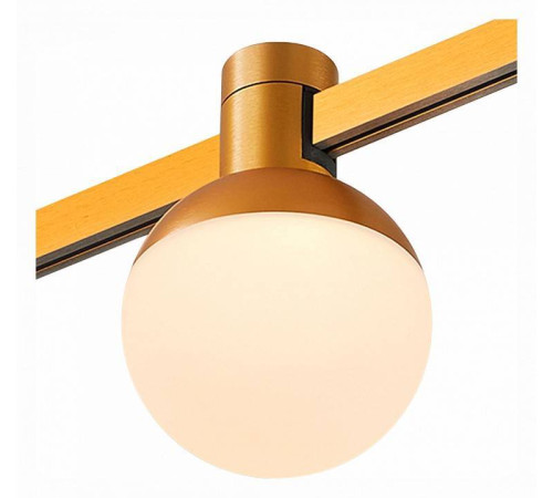 Светильник на штанге ST-Luce Farm ST815.206.05