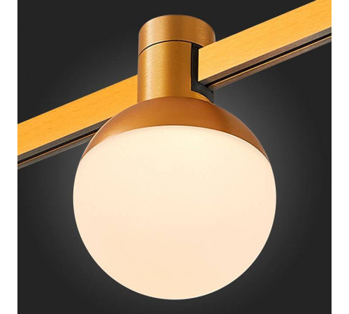 Светильник на штанге ST-Luce Farm ST815.206.05