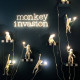 Подвесной светильник Seletti Monkey Lamp Hanging Left 14923