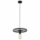 Подвесной светильник TopLight Vanessa TL1201H-01BK