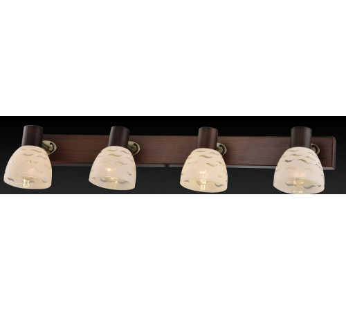 Спот TopLight Shayla TL3730Y-04BB