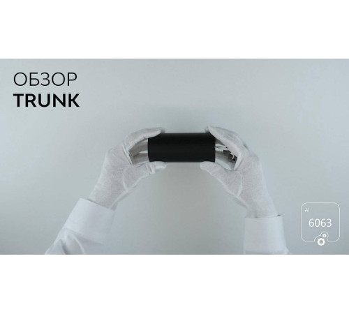 Накладной светильник 6063 Trunk 1030701