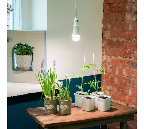 Подвесной светильник Uniel DLC-P UL-00009249