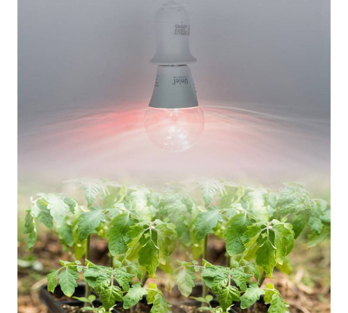 Лампа светодиодная Uniel LED UL-00011438