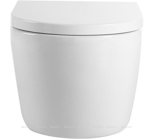 Унитаз подвесной Aquanet ZVEZDA-2 безободковый с сиденьем Soft Close ZV-2