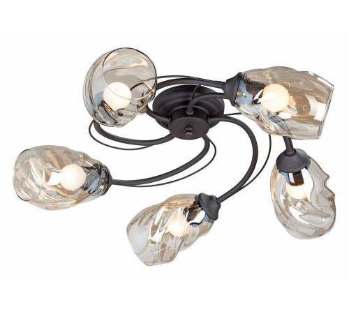 Потолочная люстра Vitaluce V4927-1/5PL