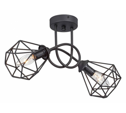 Светильник на штанге Vitaluce V4930-1/2PL