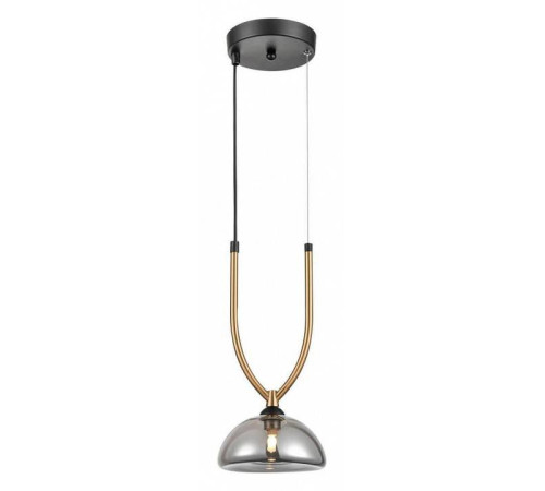 Подвесной светильник Vele Luce Cloe VL5434P01