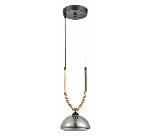 Подвесной светильник Vele Luce Cloe VL5434P01