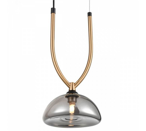 Подвесной светильник Vele Luce Cloe VL5434P01