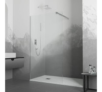 Душевая перегородка RGW WA-001 100 см 351000110-11