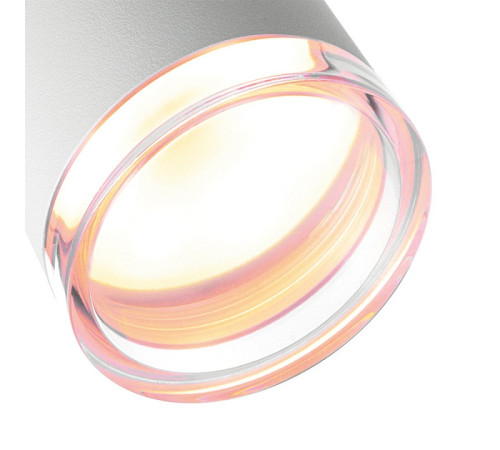 Накладной светильник Wolta AQUA WSL-GU10/W14W