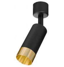 Светильник на штанге Wolta Petite WSL-MR11/S15BG