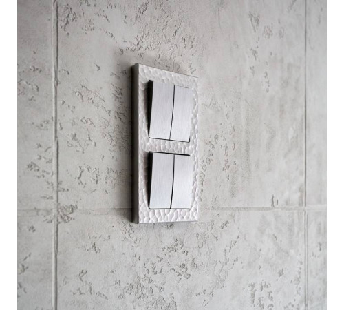 Рамка на 1 пост Werkel Aluminium W0011708