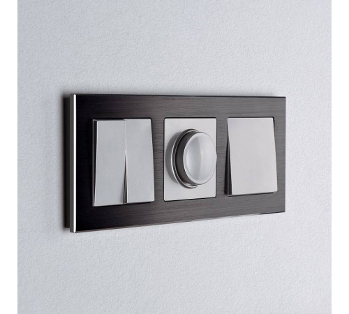 Рамка на 3 поста Werkel Aluminium W0031708