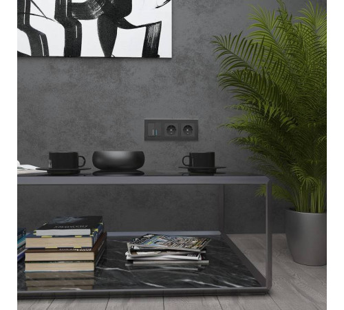 Рамка на 3 поста Werkel Aluminium W0031708