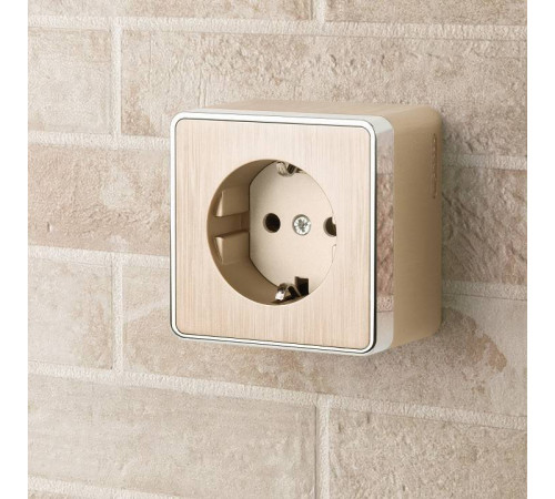 Розетка с заземлением Werkel Gallant (шампань рифленый) W5071010