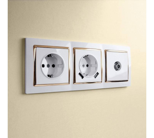 ТВ-розетка Werkel белый W1184001