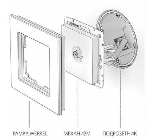 ТВ-розетка Werkel белый W1184001
