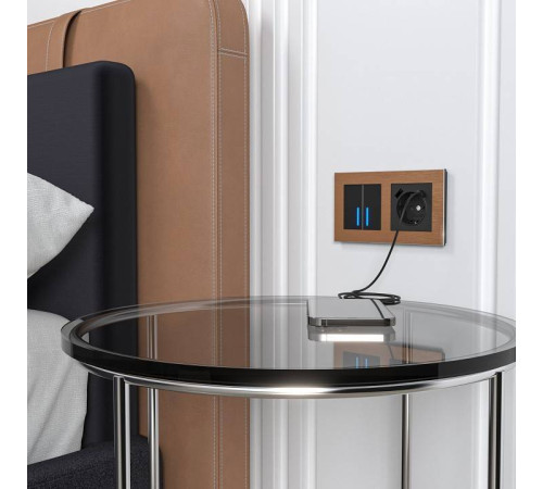 Розетка с заземлением и с шторками и USB, без рамки Werkel черный W1171708