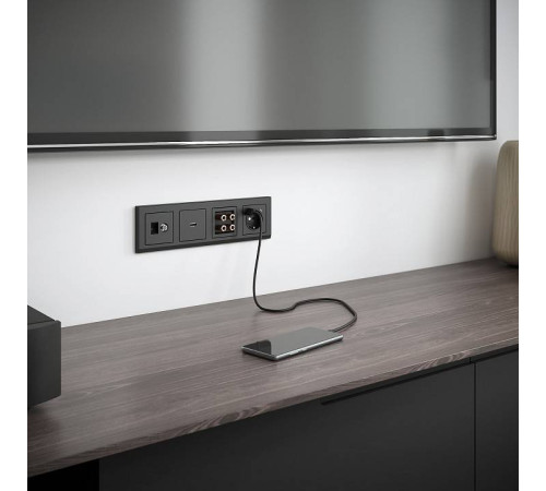 Розетка с заземлением и с шторками и USB, без рамки Werkel черный W1171708