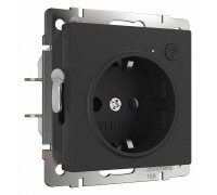 Розетка с заземлением и с шторками, без рамки с Wi-Fi Werkel черный матовый W1171608