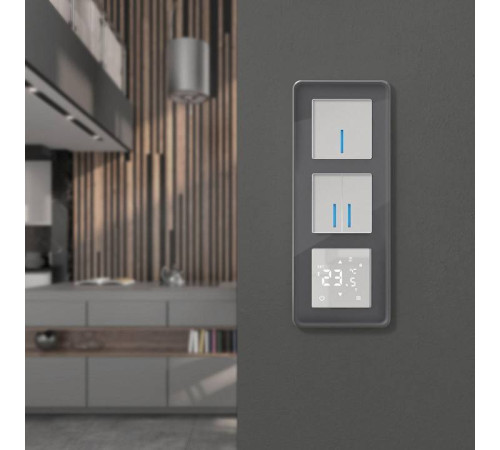 Рамка на 3 поста Werkel Elite (графит, стекло) W0032440