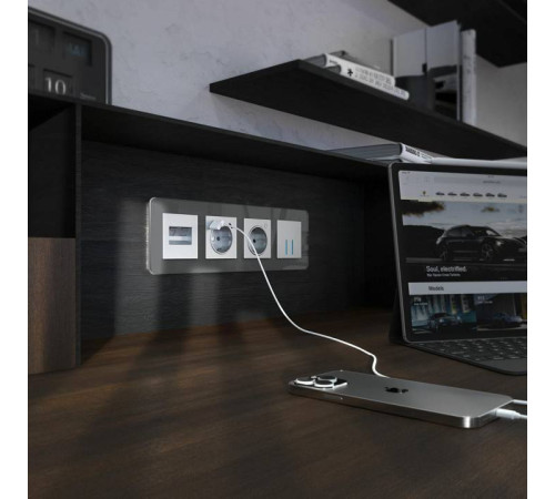 Рамка на 4 поста Werkel Elite (графит, стекло) W0042440