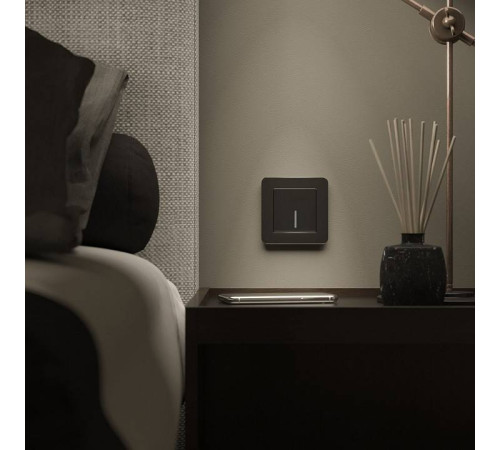 Рамка на 1 пост Werkel Platinum черный W0012608