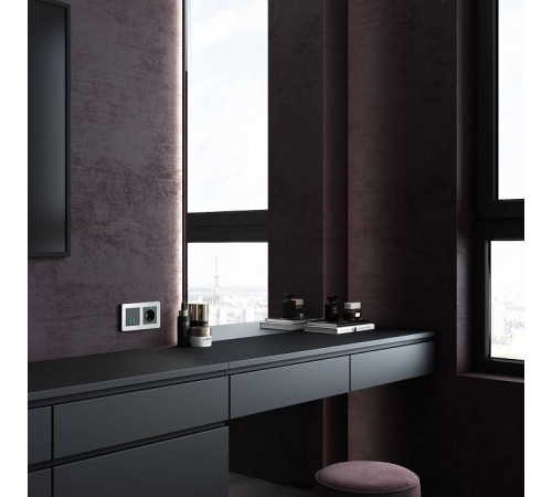 Рамка на 2 поста Werkel Platinum алюминий W0022606