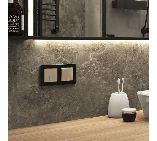 Рамка на 2 поста Werkel Platinum черный W0022608