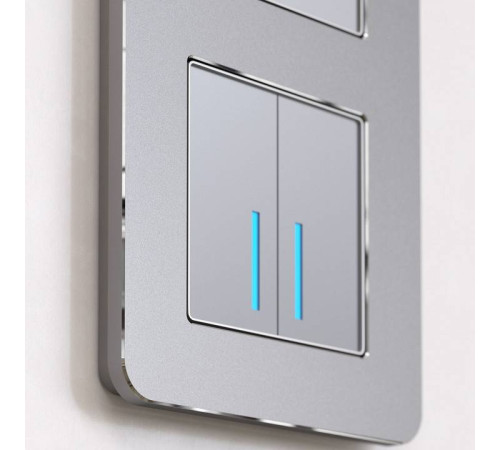 Рамка на 3 поста Werkel Platinum алюминий W0032606