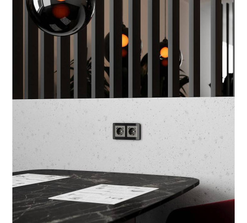 Розетка с заземлением и с шторками и 2хUSB, без рамки Werkel Графит акрил W1171744