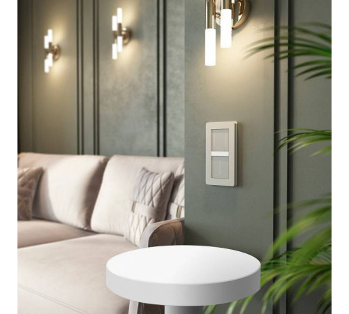 Выключатель двухклавишный с подсветкой без рамки Werkel дымчатый W4523641