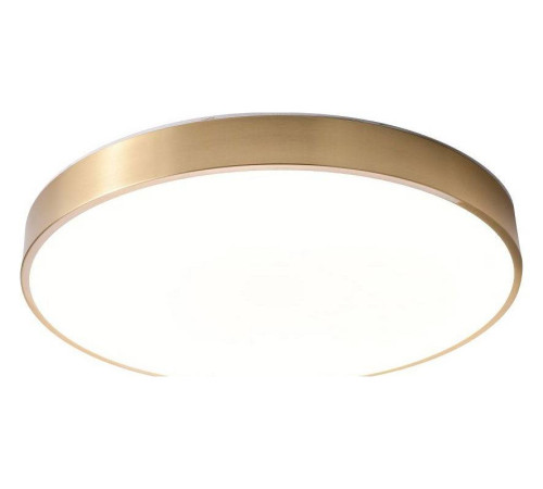 Накладной светильник Zortes Monna ZRS.1209.12