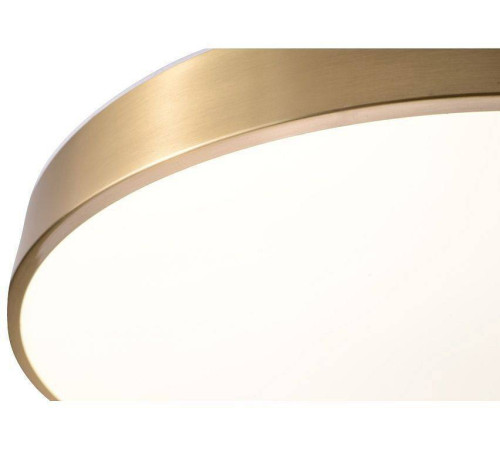 Накладной светильник Zortes Monna ZRS.1209.12