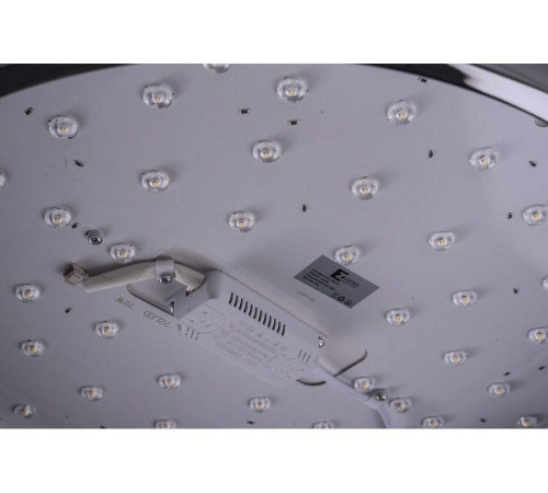 Накладной светильник Zortes Monna ZRS.1209.12