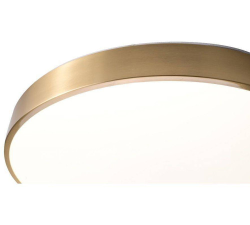 Накладной светильник Zortes Monna ZRS.1209.12