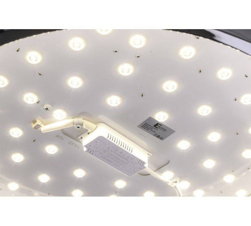 Накладной светильник Zortes Monna ZRS.1209.12