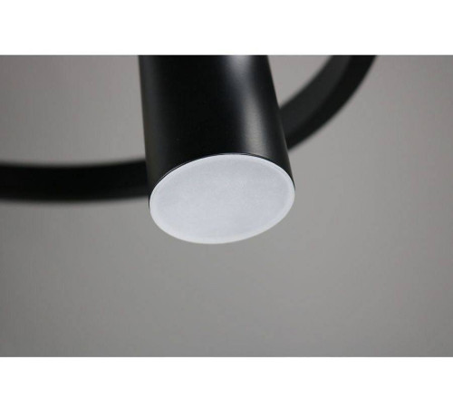 Подвесная люстра Zortes Tweeny ZRS.1828.50