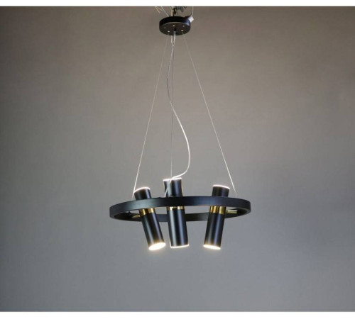 Подвесная люстра Zortes Tweeny ZRS.1828.50