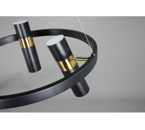 Подвесная люстра Zortes Tweeny ZRS.1828.50