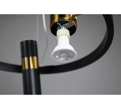 Подвесная люстра Zortes Tweeny ZRS.1828.50