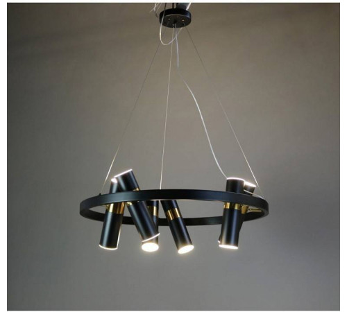 Подвесная люстра Zortes Tweeny ZRS.1828.60