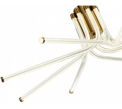 Потолочная люстра Zortes LORA ZRS.57784.08